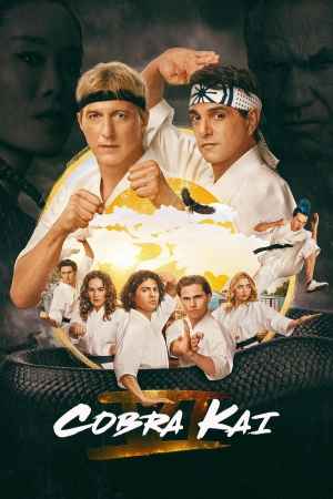 cobra kai 2018